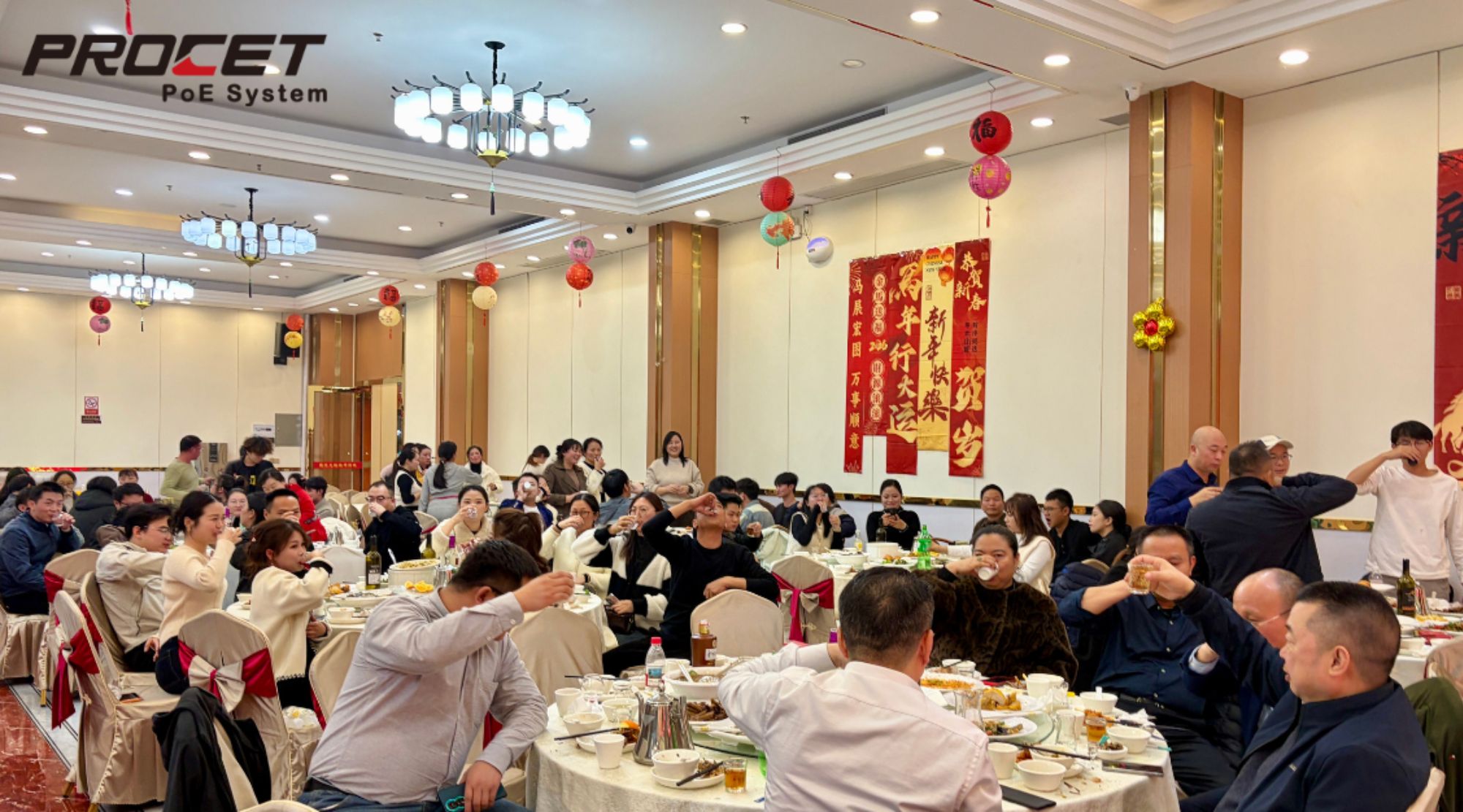 Welcoming the Year of the Horse: The Power of Stability, Speed, and Connection